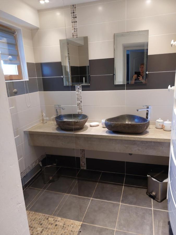 Ferienwohnung Les Dauphins Saint-Romain-de-Jalionas Exterior foto